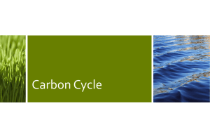 Nutrient Cycles carbon 