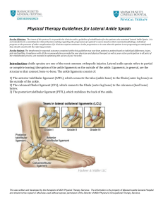 PT-guidelines-for-ankle-sprain