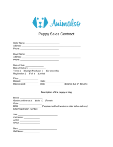 Puppy-Sales-Contract