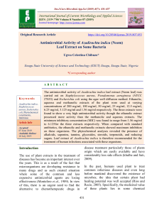 Antimicrobial Activity of Neem Leaf Extract