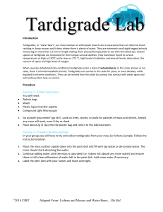 Tardigrade Lab 2021