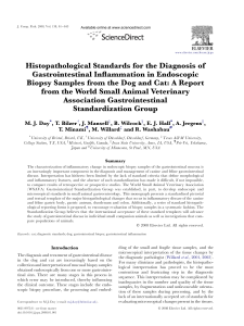 Histopathological Standards for the Diagnosis of