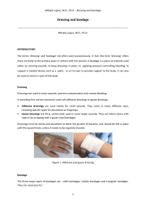 Dr. Lojpur - Dressing and bandage