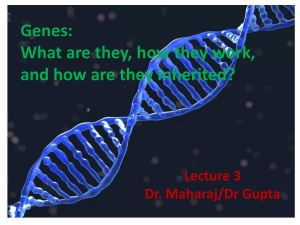 Gene inheritance Lecture 3