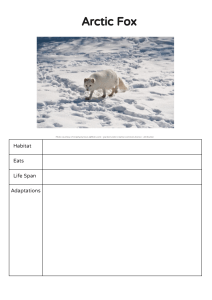 Desert and Arctic Adaptations Fact Files for fill in