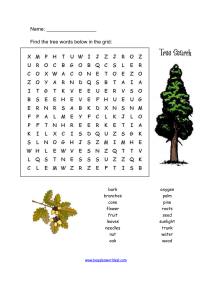 tree wordsearch
