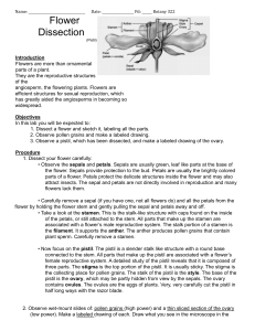 Copy of flower dissection lab 1