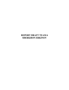 REPORT DRAFT TEAM 6