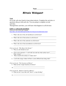 mitosis webquest