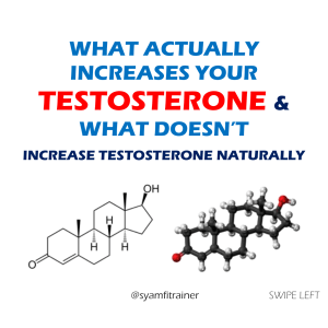 WHAT ACTUALLY INCREASES YOUR TESTOSTERONE