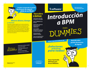 Libro Introduccion a BPM para Dummies