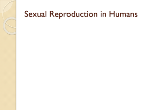 SEXUAL REPRODUCTION IN HUMANS IGCSE