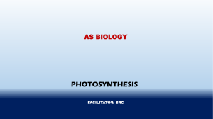 PHOTOSYNTHESIS 1-A Level Biology
