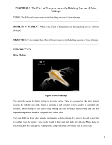 Brine-Shrimp-Report