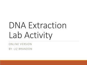 DNA Extraction Online Lab Updated