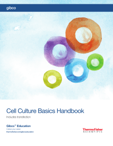 gibco-cell-culture-basics-handbook-guide