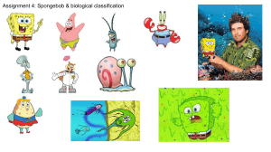 Spongebob & biological classification