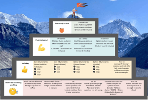 PRELIMINARY PDHPE Matrix