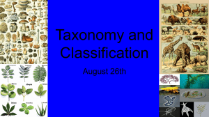 Copy of Taxonomy and Classification