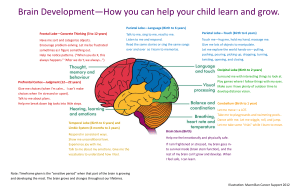 Brain Map - Early Chidhood Cognitive and brain development
