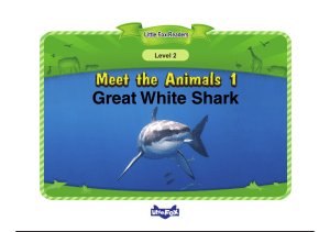 Level 1 Meet the Animals 1 Great White Shark