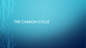 The carbon cycle