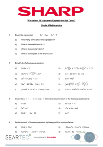 Worksheet 16 Algebraic Expressions fro Term 3 Grade 10 Mathematics