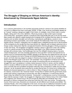 The Struggle of Shaping an African American’s Identity  Americanah by Chimaman
