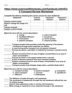 Cell Transport Review Worksheets (1)