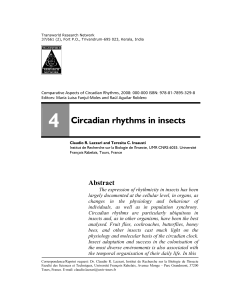 Circadian rhythms in insects