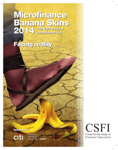 2014 Microfinance Banana Skins