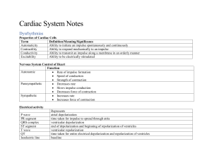 Cardiac System Notes