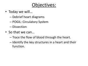 Day 10 - Heart Dissection powerpoint
