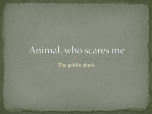 Animal, who scares me