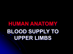 BLOOD SUPPLY TO UPPER LIMB