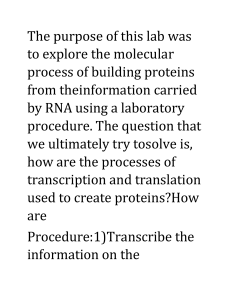 Building Proteins from RNA