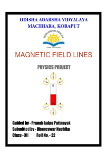 MAGNETIC FIELD LINES