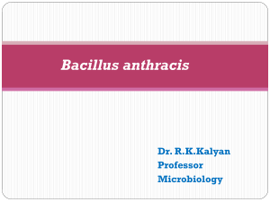 Bacillus anthracis microbilogy lecture