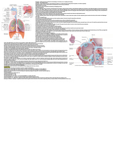 Copy of Anatomy & Physiology Cheat Sheet 