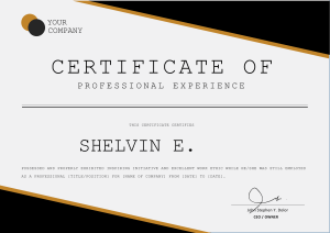 Professional Experience Certificate