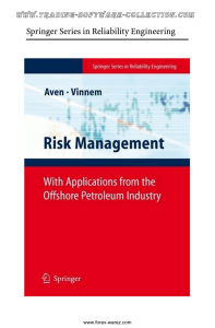 Aven Vinnem - Risk Management