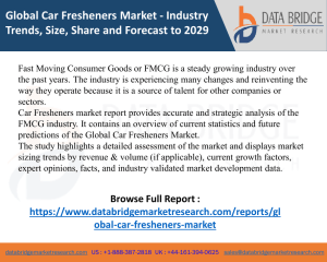 Car Fresheners Market-FMCG