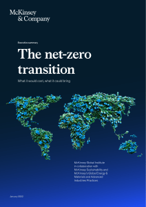 the-net-zero-transition-executive-summary