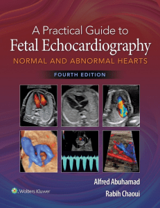 eBook A Practical Guide to Fetal Echocardiography, 4e By Rabih Chaoui, Alfred Abuhamad