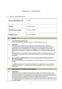 Adult-Critical-Care-Service-Specification-FINAL