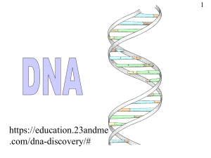 DNA-Structure