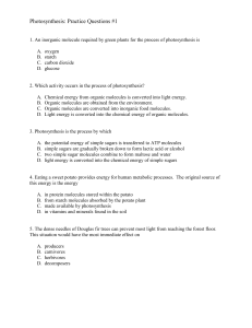Practice Questions 1 Photosynthesis