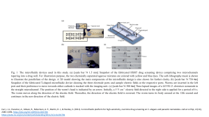 Antimicrobial Resistance of Worms and Micro Organisms in Microfluidic Chips