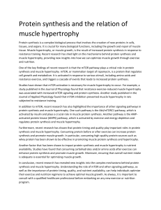 Protein synthesis & muscle hypertrophy