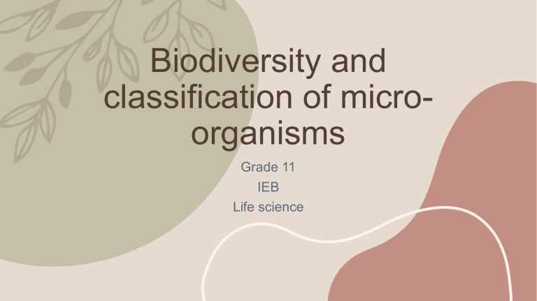 Biodiversity And Classification Of Micro Organisms